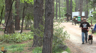Thumbnail for Prop 21: Why Californians don't need a car tax to save their state parks
