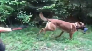 Thumbnail for Well-adjusted Voat users in the background; elite late-night chat Voat users in the foreground