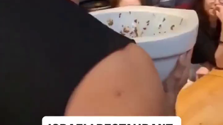 Thumbnail for these disgusting jews sure do have a scat obsession 