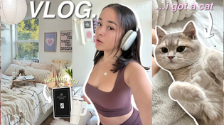 Thumbnail for VLOG › focusing on myself, getting a cat, my healing era, new hair | adelala