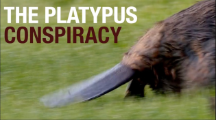 Thumbnail for The Platypus Conspiracy | Ze Frank
