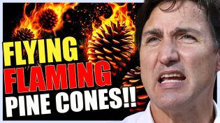 Thumbnail for Trudeau's UNHINGED RANT - Flying Flaming Pine Cones!! | Clyde Do Something