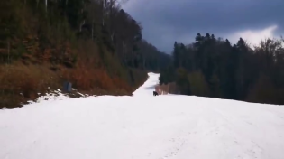 Thumbnail for How to demonstrate you don't know how to handle bears:  Bear chases skiiers in Romania