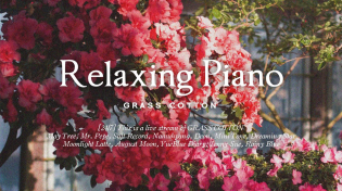 Thumbnail for [24/7] A relaxing and calm piano song that will soothe your tired mind l GRASS COTTON+ | GRASS COTTON ê·¸ëž˜ìŠ¤ì½”íŠ¼