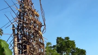 Thumbnail for DukeofRaul undergoes a rite of passage on Vanuatu 