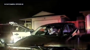 Thumbnail for Nigger driving lesson