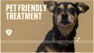 Thumbnail for Start Treatment with Your Best Friend by Your Side | Pet Friendly Treatment