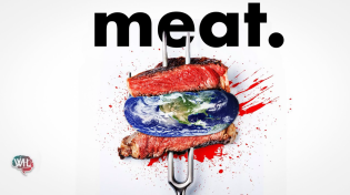 Thumbnail for Eating less Meat won't save the Planet. Here's Why | What I've Learned