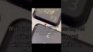 Thumbnail for What Happened To These Small Red Bugs? 🤔 #interesting | IdkSterling
