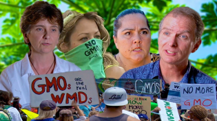 Thumbnail for Is Hawaii's Anti-GMO Movement Really Just Anti-Science?