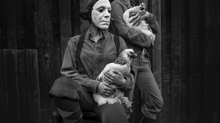 Thumbnail for Lindemann - Allesfresser