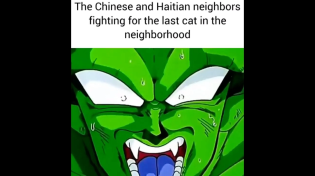 Thumbnail for The Chinese and Haitian neighbors fighting for the last cat in the neighborhood | FunnyMemeSpot