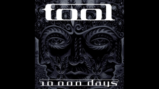 Thumbnail for TOOL - Jambi
