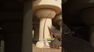 Thumbnail for How Romans Kept Rats Out of Grain Stores? | Ancient Tech