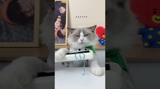 Thumbnail for It ends brutally 😂 #thatlittlepuff #recipe #puffknowsbetter #PINKHolidayRemix | That Little Puff