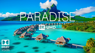 Thumbnail for PARADISE 8K Video Ultra HD With Soft Piano Music - 60 FPS - 8K Nature Film