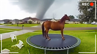 Thumbnail for ABUSING Sora 2.0 Video AI (again) | Dan Dingle