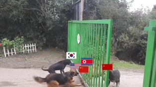 Thumbnail for North Korean conflict summarized | CS Ghost Animation