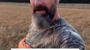 Thumbnail for The goats aren't afraid of dinosaurs coz they know it's you