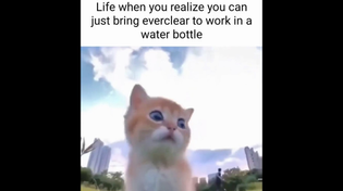 Thumbnail for Life when you realize you can just bring everclear to work in a water bottle | FunnyMemeSpot Backup