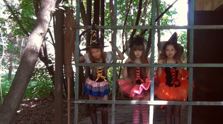 Thumbnail for FashionLand trio of witch's 