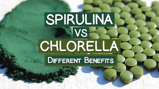 Thumbnail for Spirulina VS Chlorella, Which One Should You Take? | SuperfoodEvolution