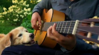 Thumbnail for A pup friend and a mellow tune