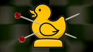 Thumbnail for The Double Pinned Duck | Eric Rosen