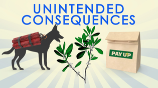 Thumbnail for Great Moments in Unintended Consequences: Seattle PayUp Law, Dog Bombs, Colombian Coca (Vol. 21) | ReasonTV