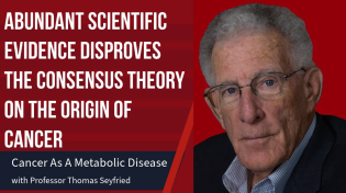 Thumbnail for Scientific Evidence That Disproves the Consensus Theory on the Origin of Cancer | Talking Cancer With Professor Thomas Seyfried 