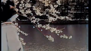 Thumbnail for 1932 Footage of Japan during cherry blossom season [Colorized by AI]