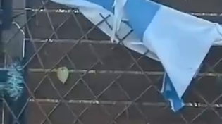 Thumbnail for Odin's ravens destroy Israeli flags.