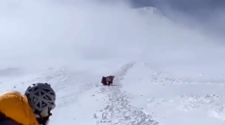 Thumbnail for Female climber freaks out as frozen dead bodies slide down mount Everest 