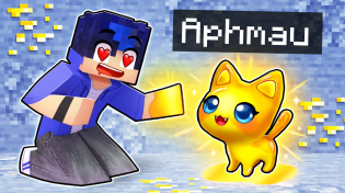 Thumbnail for Playing Minecraft as a HELPFUL Golden Kitten! | Aphmau