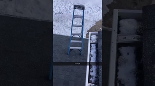 Thumbnail for “Well it didn’t just grow legs and walk away” | FunnyMemeSpot Backup