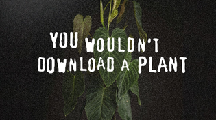 Thumbnail for How the Legal System Is Ruining Plants | Plants in Jars