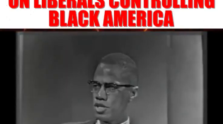 Thumbnail for Malcolm X : "White Liberals Are The Most Dangerous Thing In The Entire Western Hemisphere"