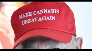 Thumbnail for Donald Trump Has the Power to Release Nonviolent Marijuana Offenders from Prison. Will He Act?