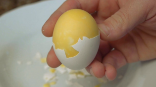 Thumbnail for How to Scramble Eggs Inside Their Shell | NightHawkInLight