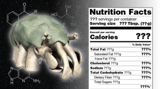 Thumbnail for Would Aliens Be Edible? | Biblaridion