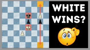Thumbnail for 2 Puzzles To Impress Magnus Carlsen | Chess Vibes