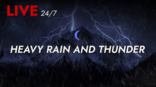 Thumbnail for 🔴 Heavy Rain and Thunder Sounds 24/7 - Deep Sleep | Thunderstorm for Sleeping - Pure Relaxing Vibes