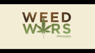 Thumbnail for Weed Wars: Medical Marijuana Hits Reality TV