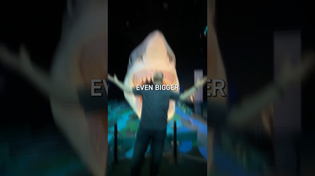 Thumbnail for Was Megalodon really that big? 🦈🤔 | COSI Columbus
