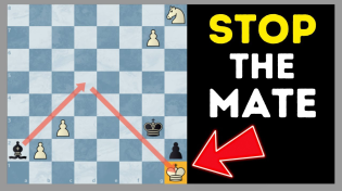 Thumbnail for 5 Chess Puzzles Guaranteed To Fool You 🤔 | Chess Vibes