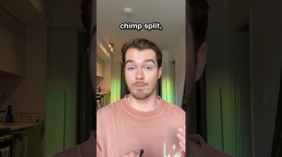 Thumbnail for Why Don’t Chimpanzees Ask Questions? | Thomas Mulligan