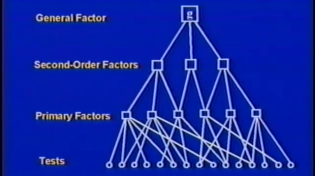 Thumbnail for Arthur Jensen on Intelligence 2 [1986] [primer on IQ testing]