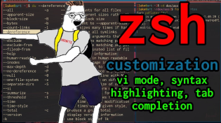Thumbnail for zsh: Syntax Highlighting, vi-mode, Autocomplete, more | Luke Smith