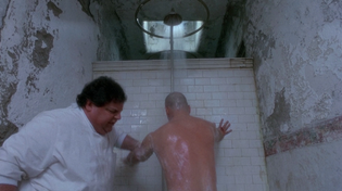 Thumbnail for Twelve Monkeys