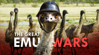 Thumbnail for The Emu War: How Emus Defeated The Australian Army | Animalogic